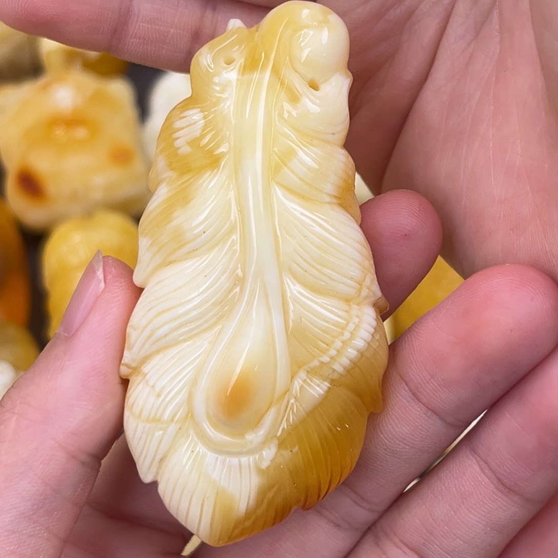 未镶嵌琥珀珠宝奇石羽毛