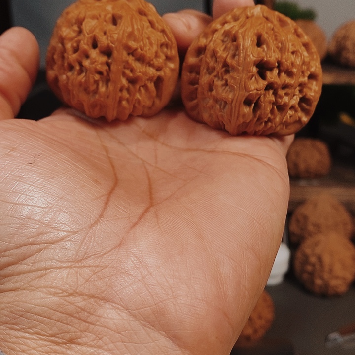 43尺红皮果骨质好