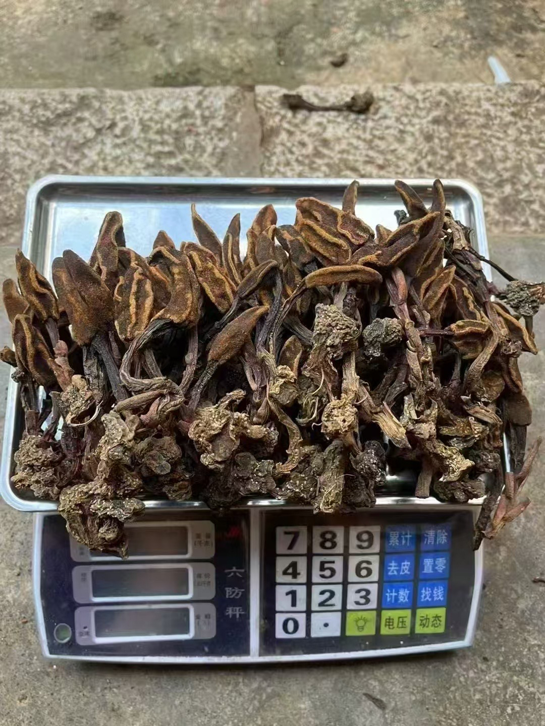 （2朵金花）云南深山（文王一支笔）无硫.干货