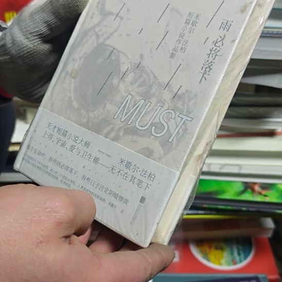 雨必将落下精装务必塑封