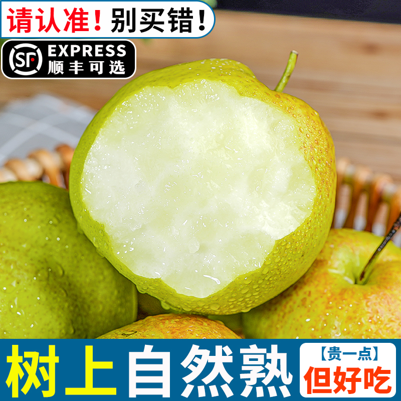 【顺丰】山西玉露香梨薄皮脆甜当季孕妇新鲜现摘水果雨露香梨礼盒