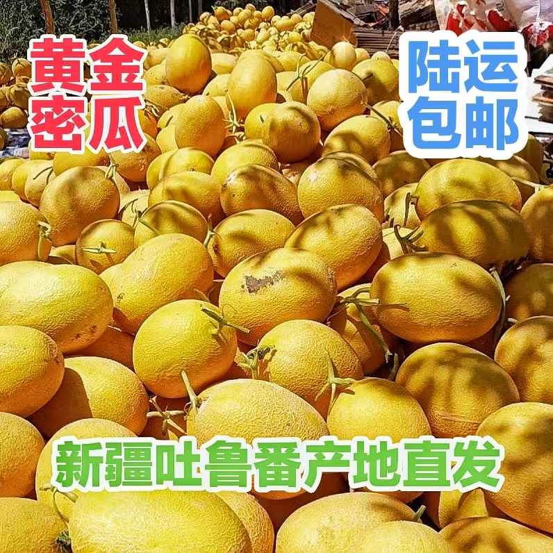【陆运包邮】吐鲁番黄金哈密瓜挚爱蜜瓜