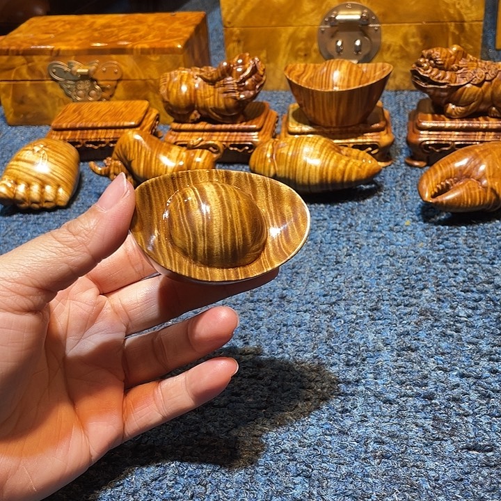 楠木好好看好漂亮