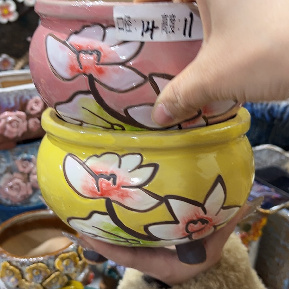 【闪购商品】红陶福利