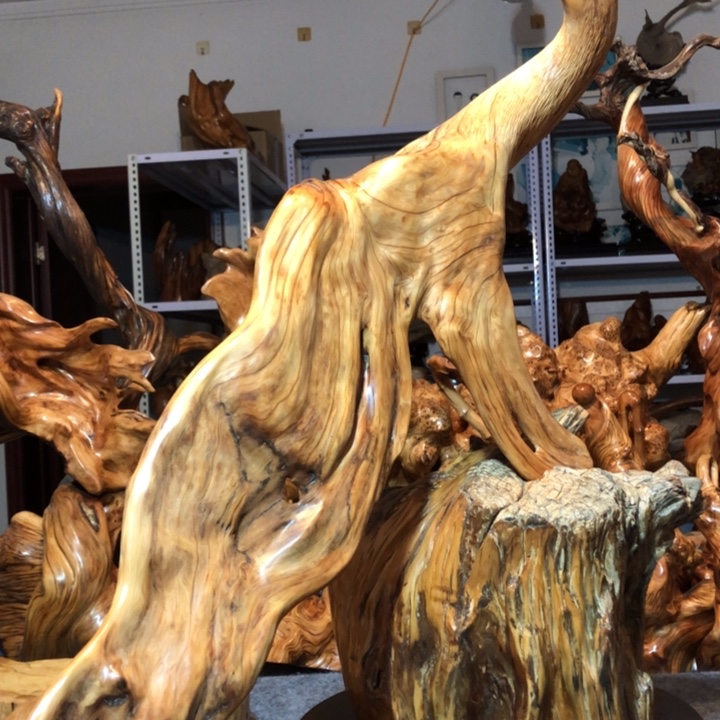 柏木（崖柏）用****8崖柏35