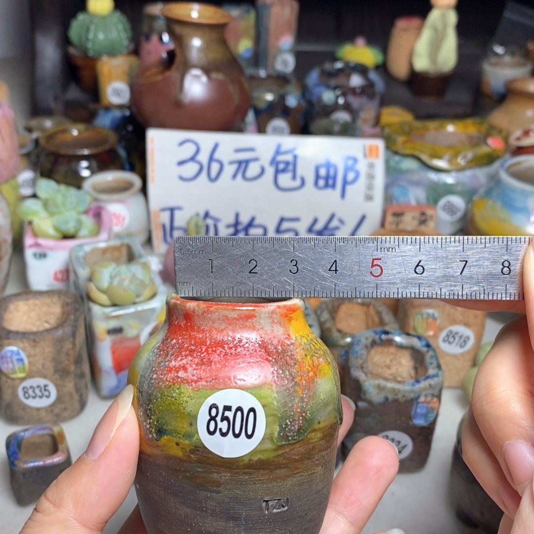  拍5送一个小礼物