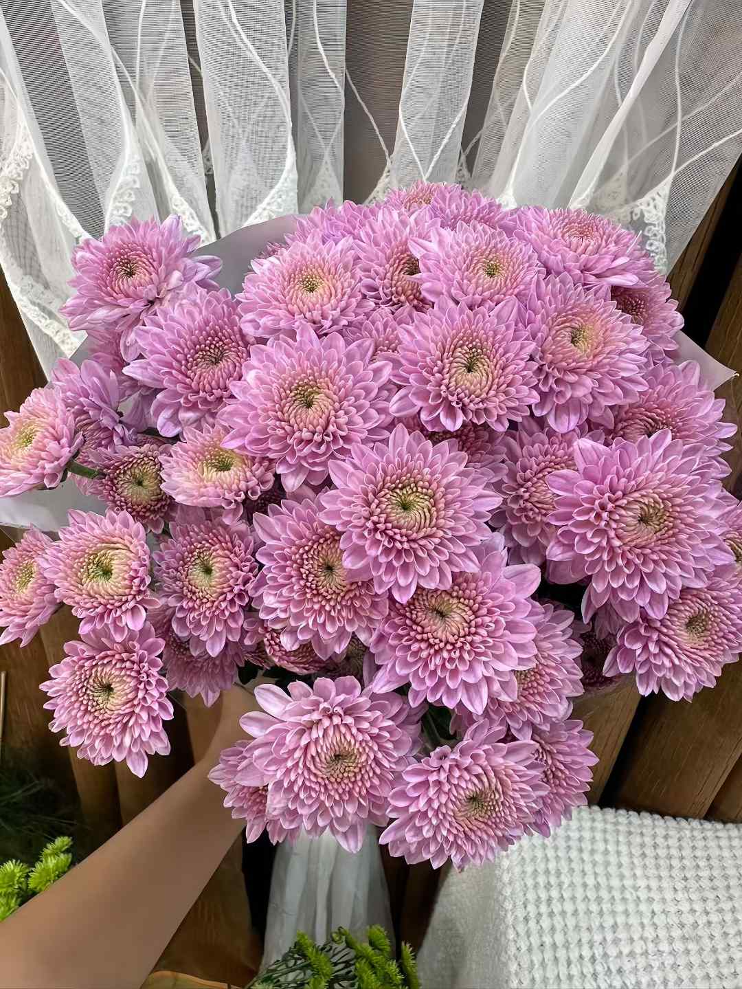 【卡明粉】多头鲜花小菊云南昆明基地直发精品鲜家庭水养插花