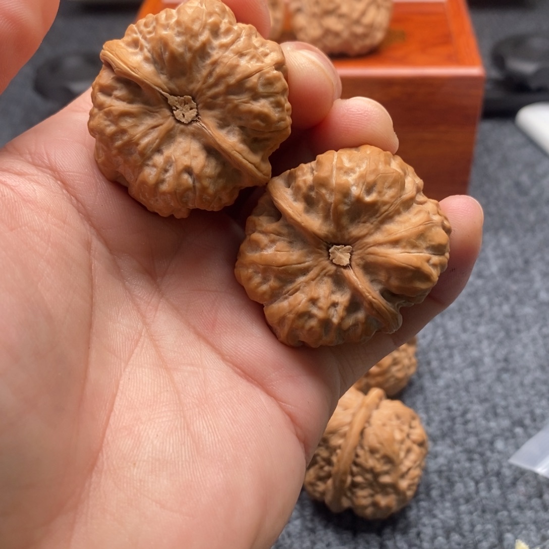 面***人好的我真的好喜欢这个节目