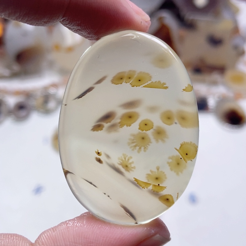 【闪购商品】玛瑙/玉髓颈饰未镶嵌