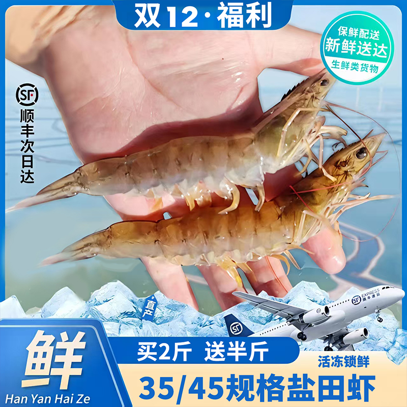 双12 活冻【盐田虾】2斤送半斤 35-45/斤 顺丰包邮 做 虾滑 剥虾仁均可