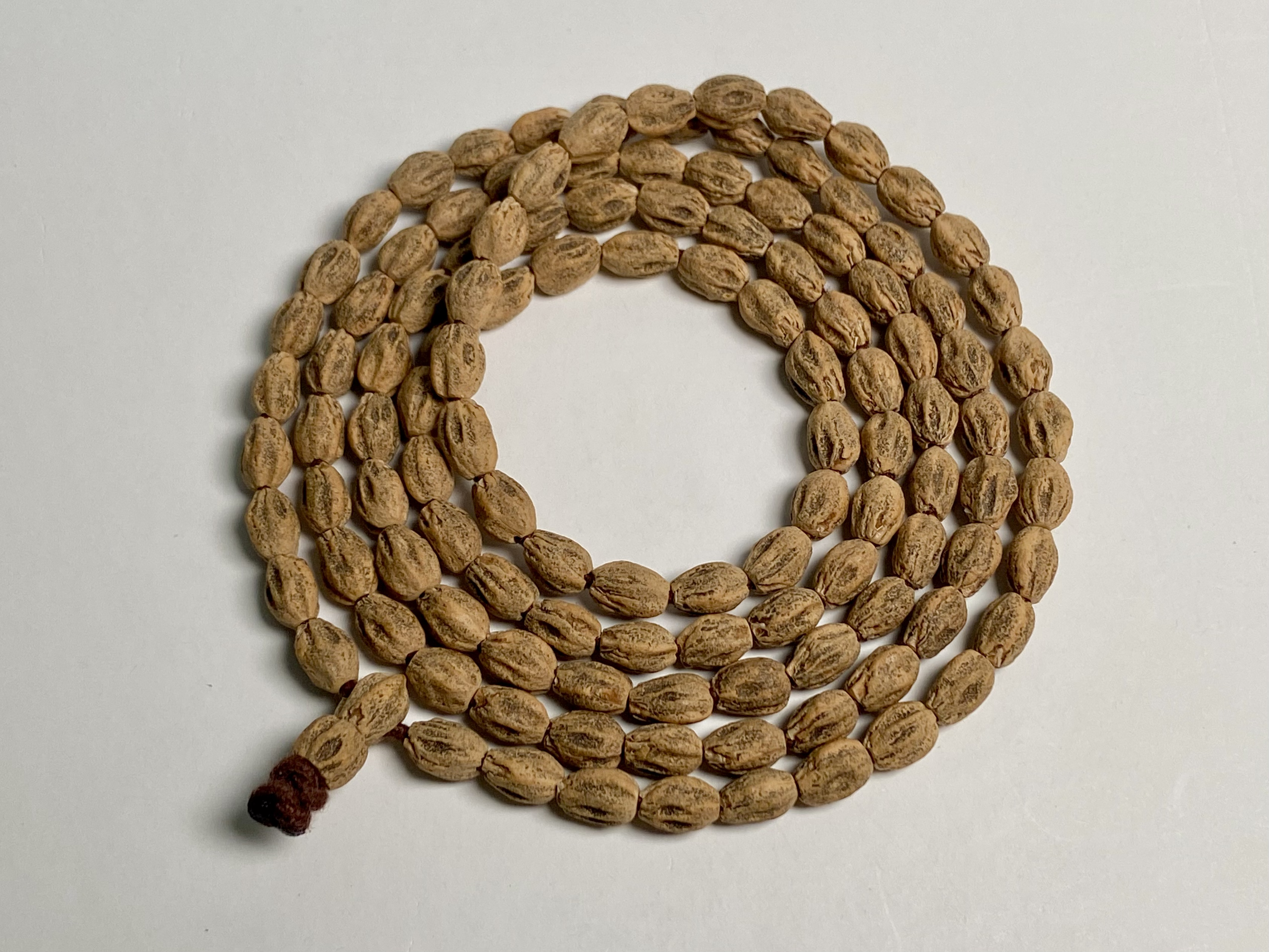 原桩大长腿百香籽红皮红肉直切高桩鬼脸6x8.5