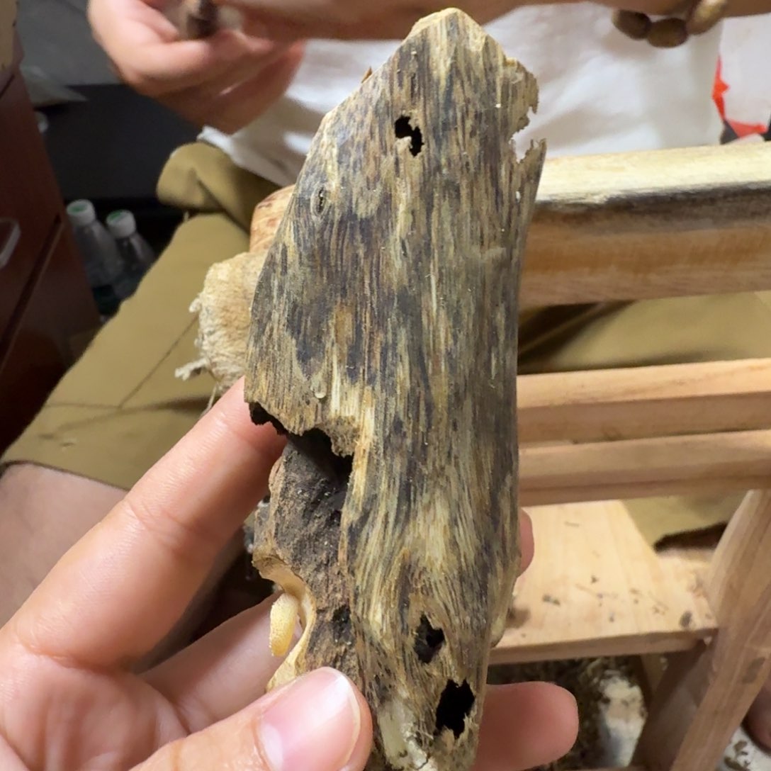 块料块料块料块料