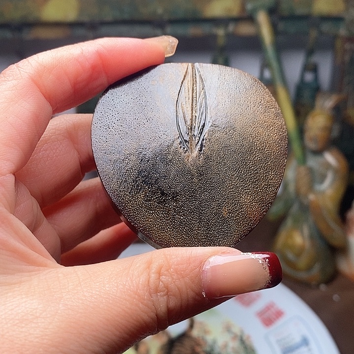 过年了 放漏了。快来吧