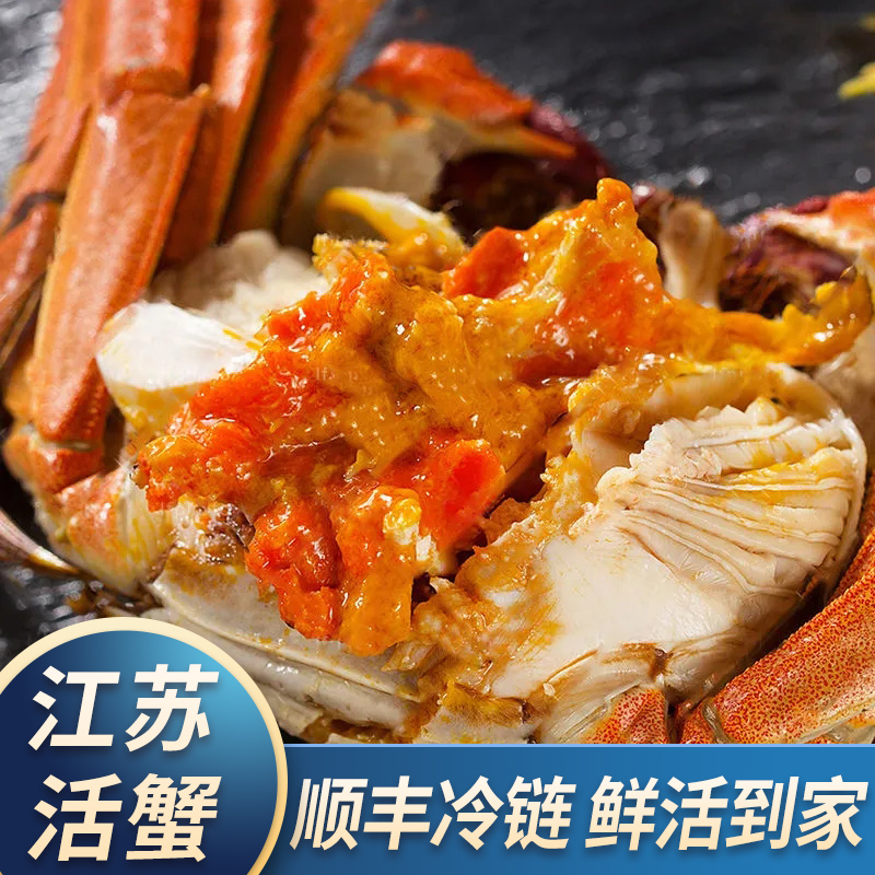 【活蟹】江苏清水全母大闸蟹3.3-3.0两6只-10只螃蟹 顺丰包邮H