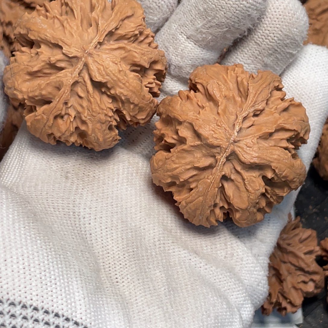 吊坠桃核89 秦岭灯笼野生小众