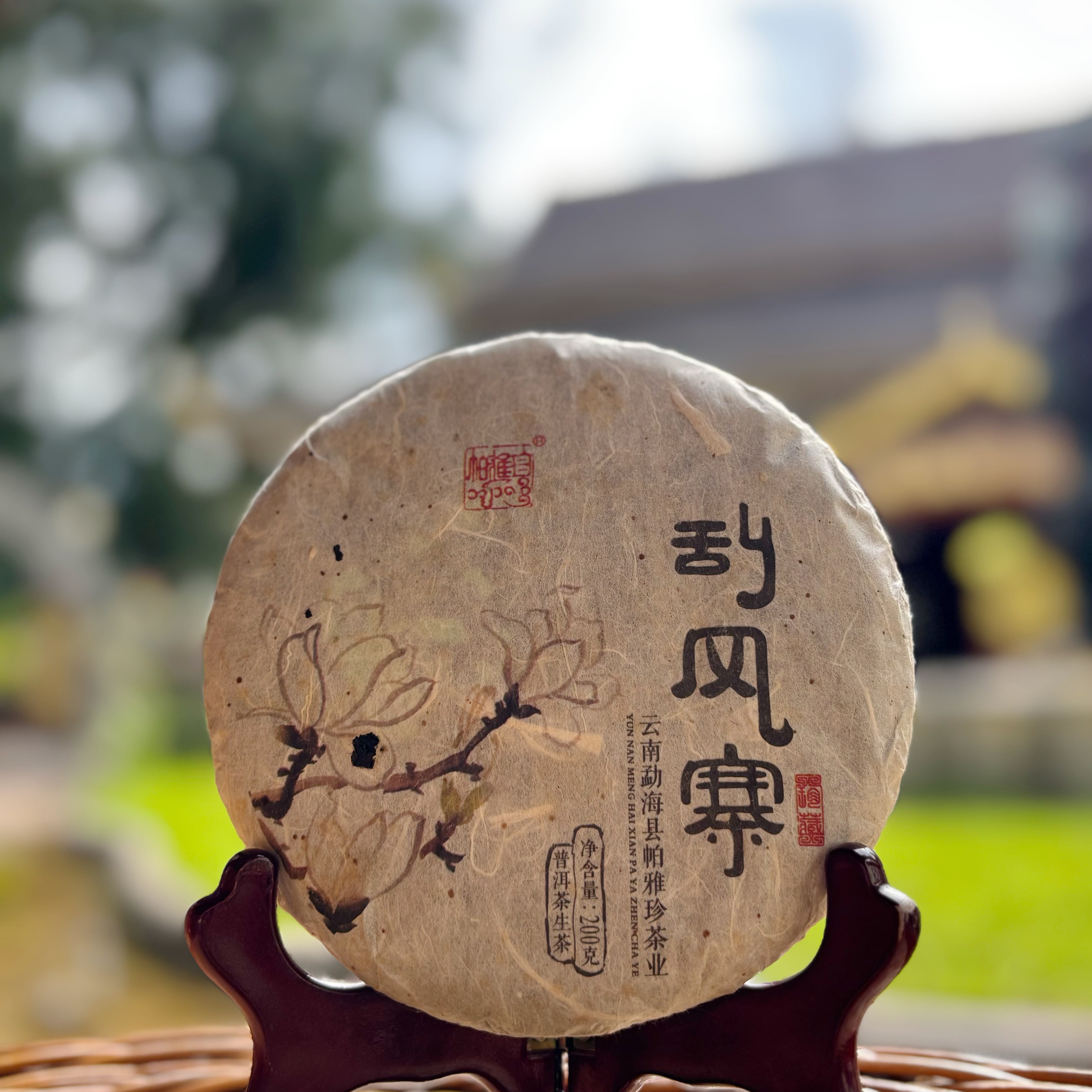 帕雅珍2016年刮风寨 头春茶坪地古树 200克饼 汤香水柔