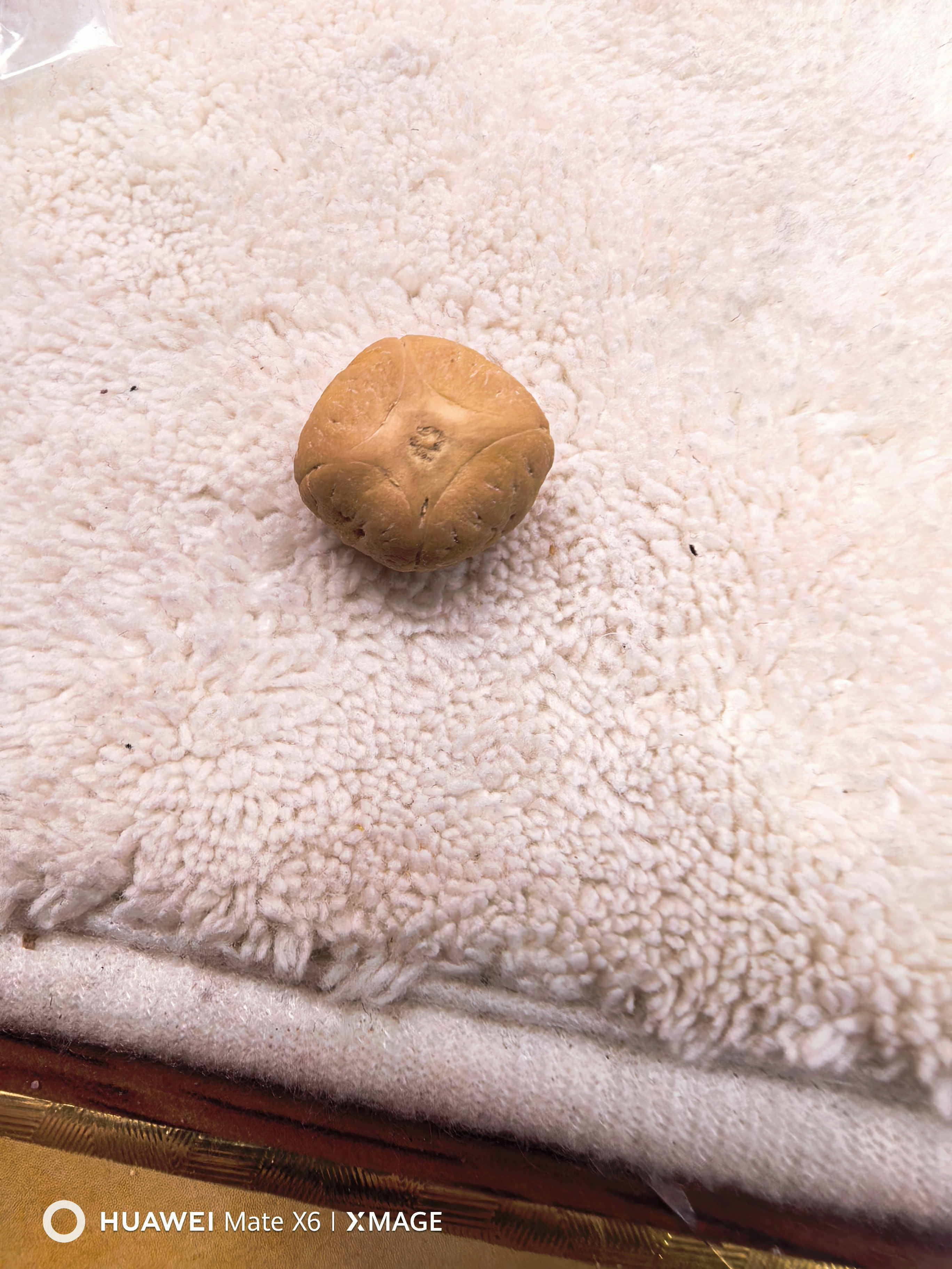 【禪舍】尼泊尔麒麟眼菩提（实心四喜异型）