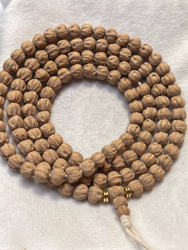 A888柏香籽莲花原桩微磨陨石坑