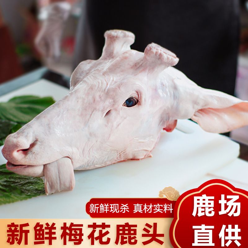 鹿头现场挑选新鲜鹿头当天屠宰分割真空包装发货