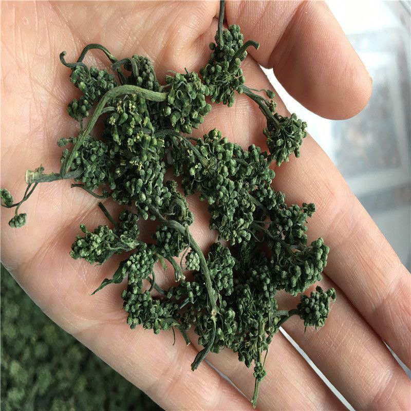 人参 花 长白山产地500克包邮