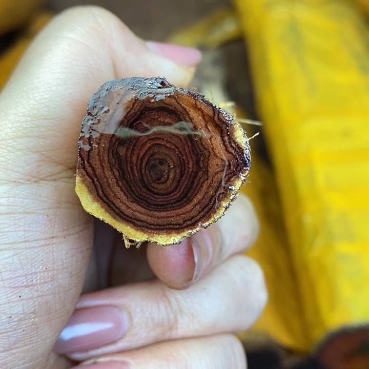 木迷**熊文玩手串手链