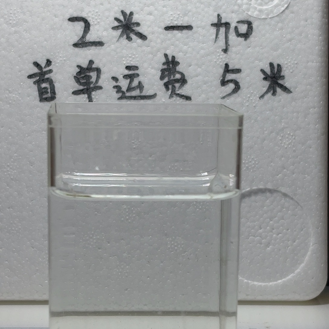 海水鱼鱼万泽水族泰国斗鱼母鱼