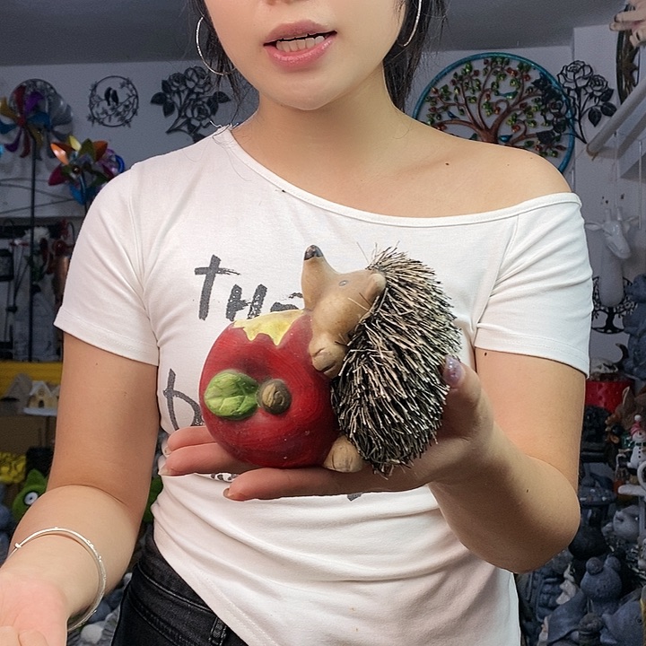 树脂n z b z b z b z b zv