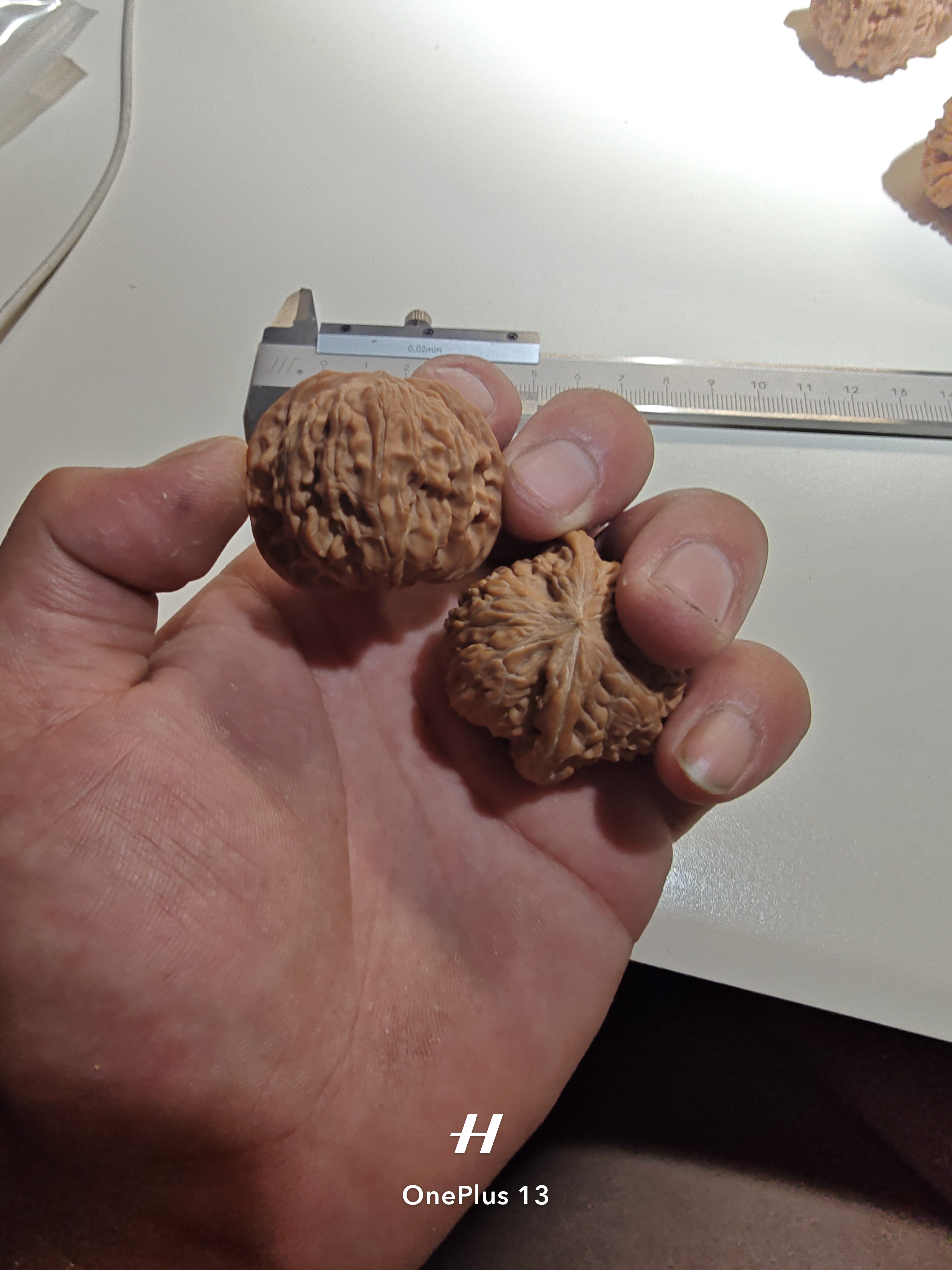 39.5全品红皮山地磨  核桃 8号  