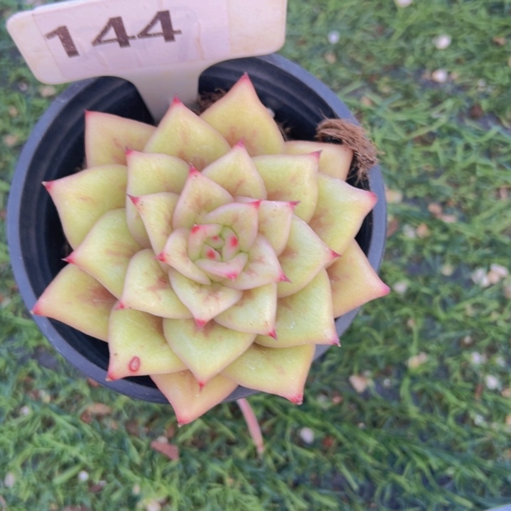 健健康康平平安安