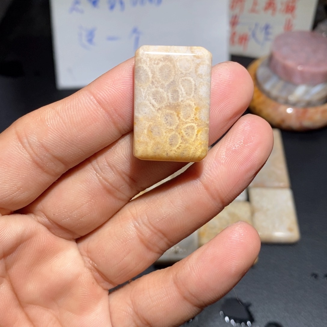 【闪购商品】硅化玉颈饰足银镀金镶嵌