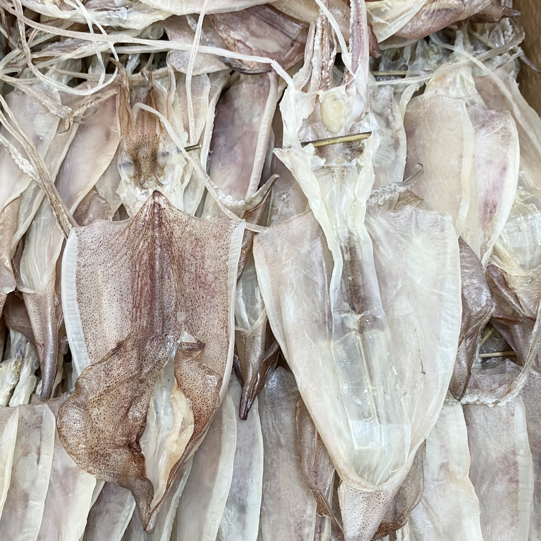 汕尾陆丰本港鱿鱼母 中号鱿鱼干 13只左右/斤 7成干