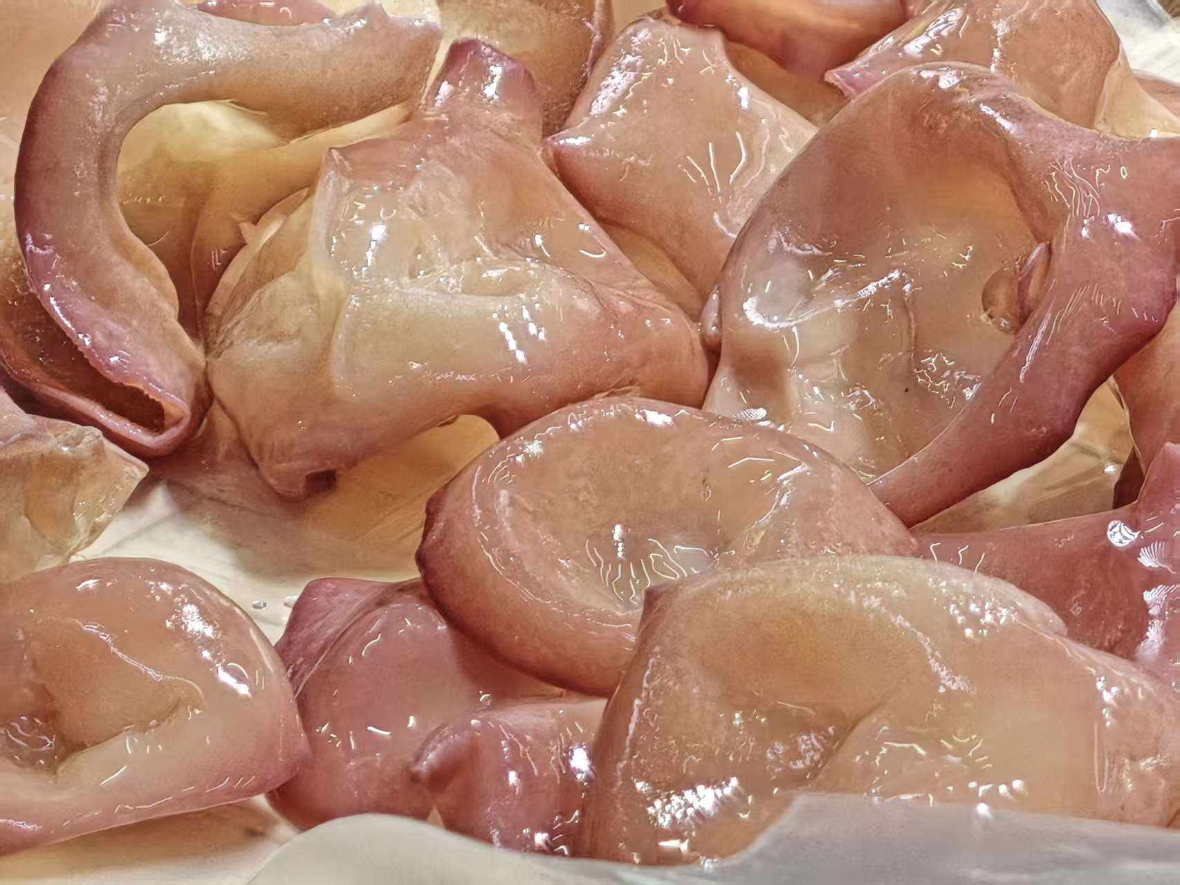 【老班长甄选】贵妃木耳-实物以直播间为主