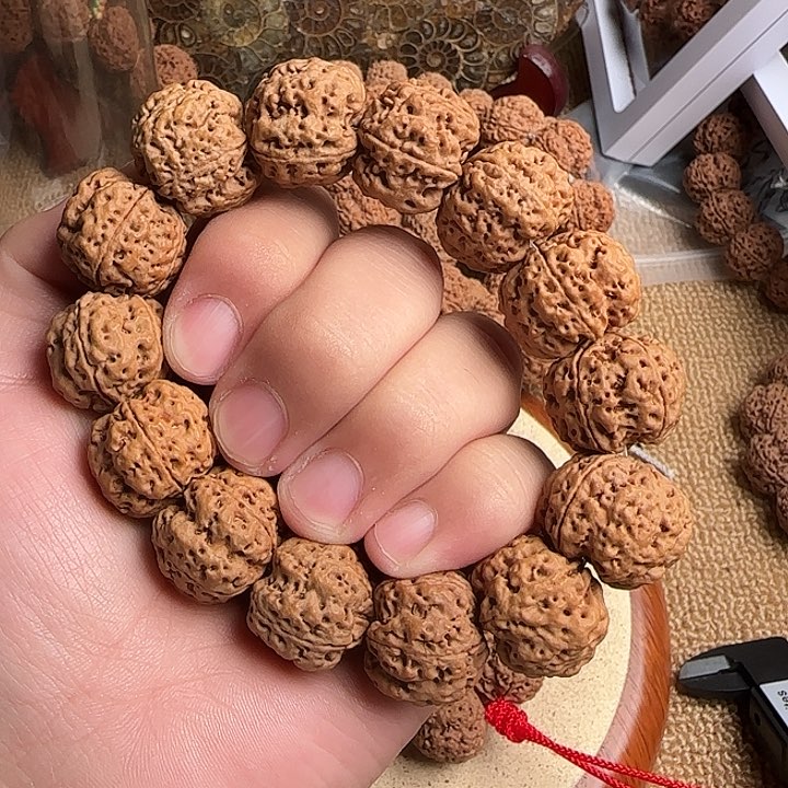 金刚菩提手串大金刚菩提23尺寸古龙梅花b货