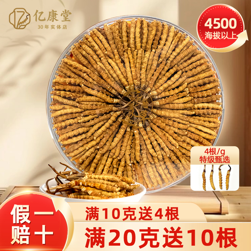 亿康堂 4根/克 特级草 30根-100根 正宗西藏4500海拔以上冬虫夏草