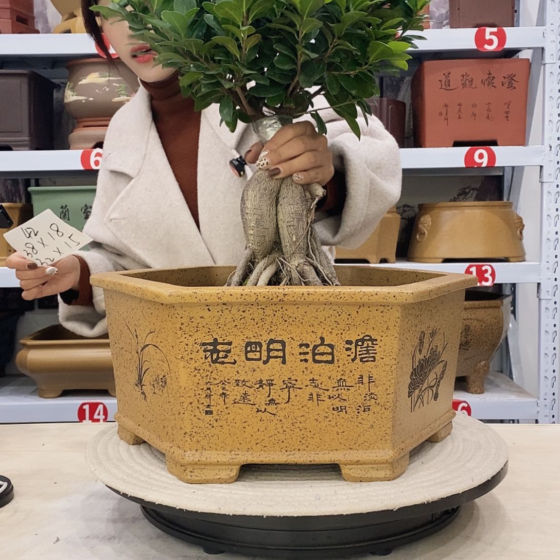 紫砂花盆紫砂花盆