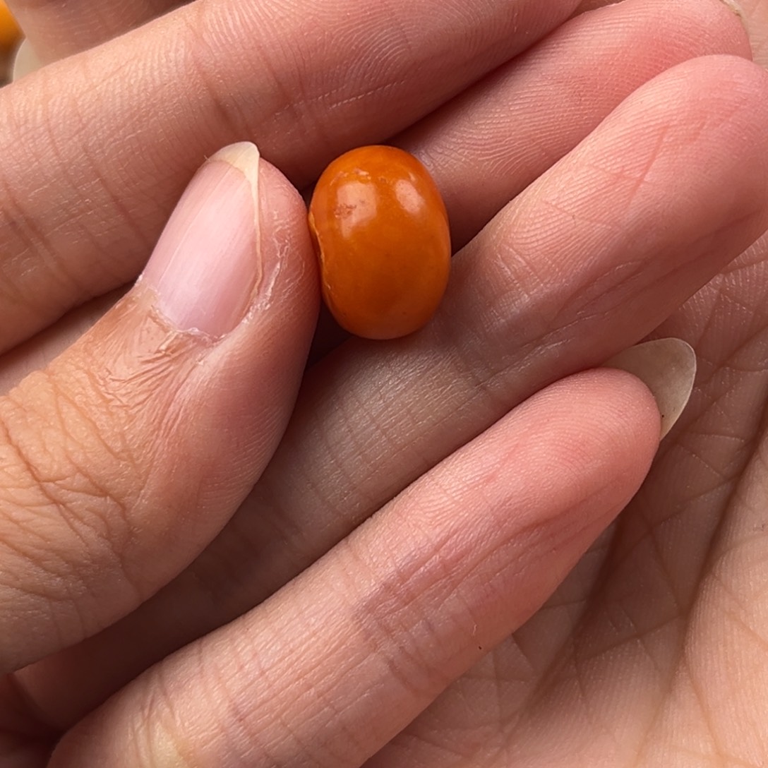 四***月未镶嵌颈饰蜜蜡老蜜蜡
