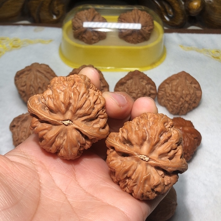 欲***酒文玩核桃44大粗筋