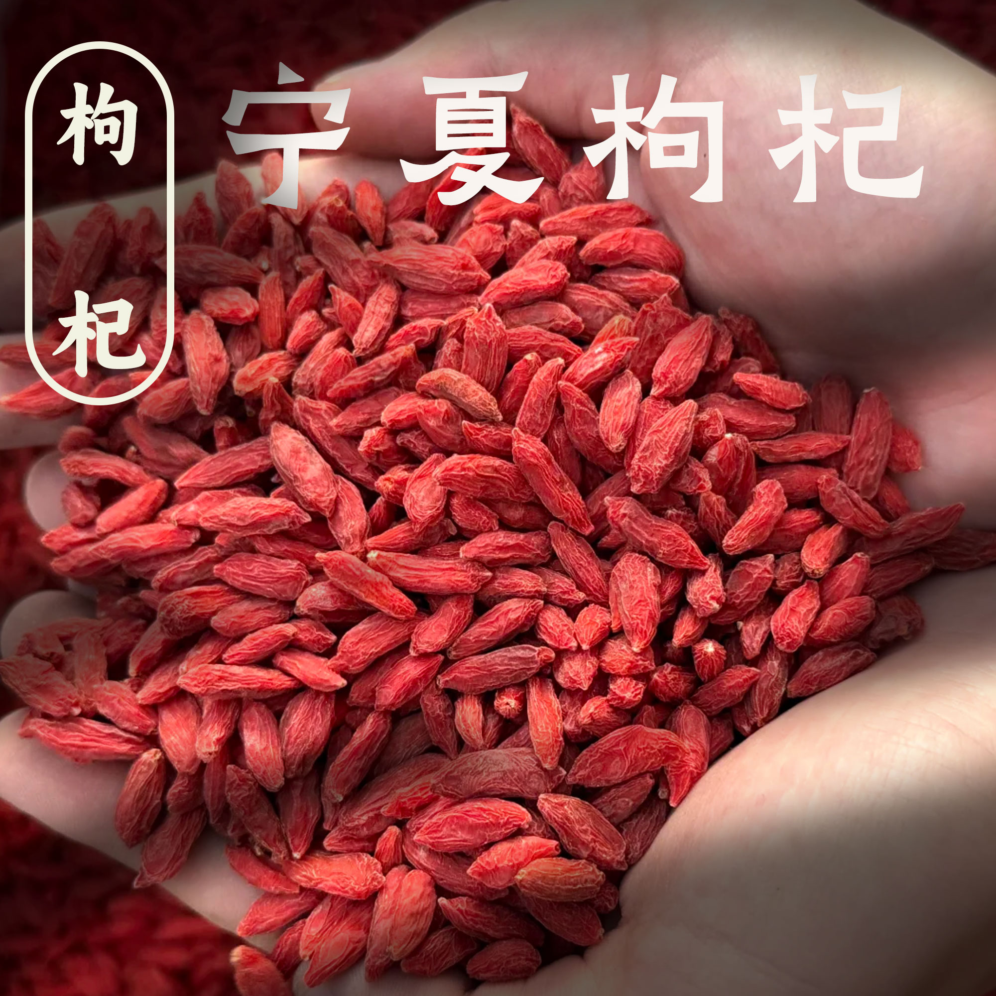 正宗宁夏中宁枸杞子泡水煲汤泡酒无硫养生滋补