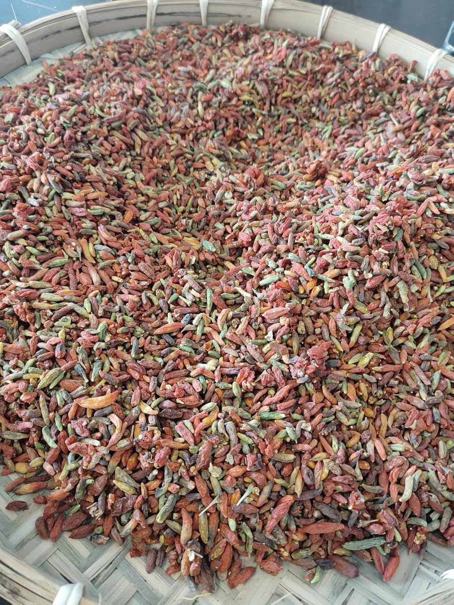 东南亚滋补特产山货特产链接枸杞（直播间好物分享）