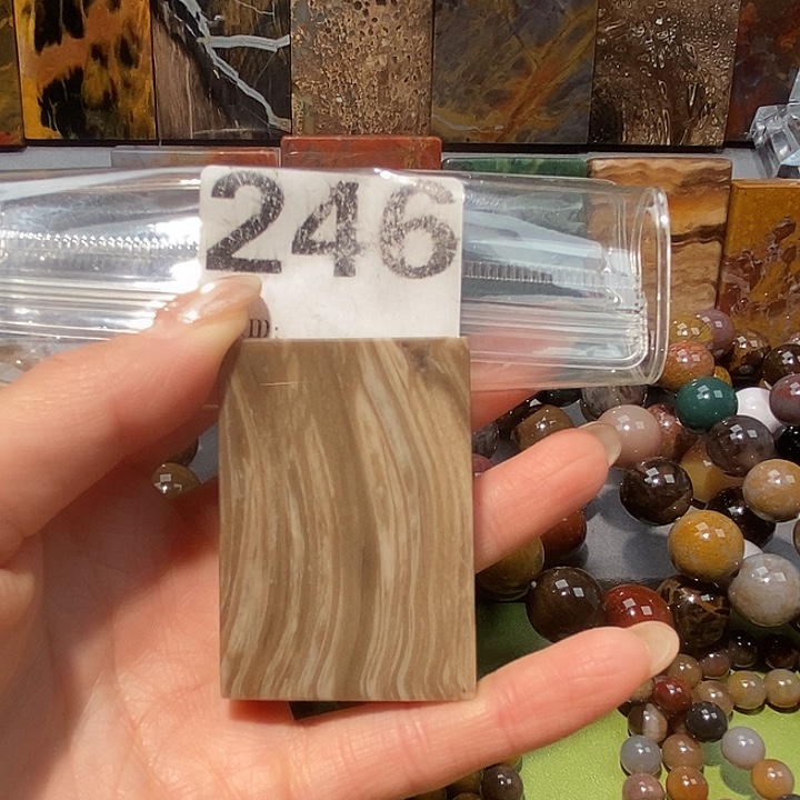 硅化玉未镶嵌天然北票树化玉吊坠