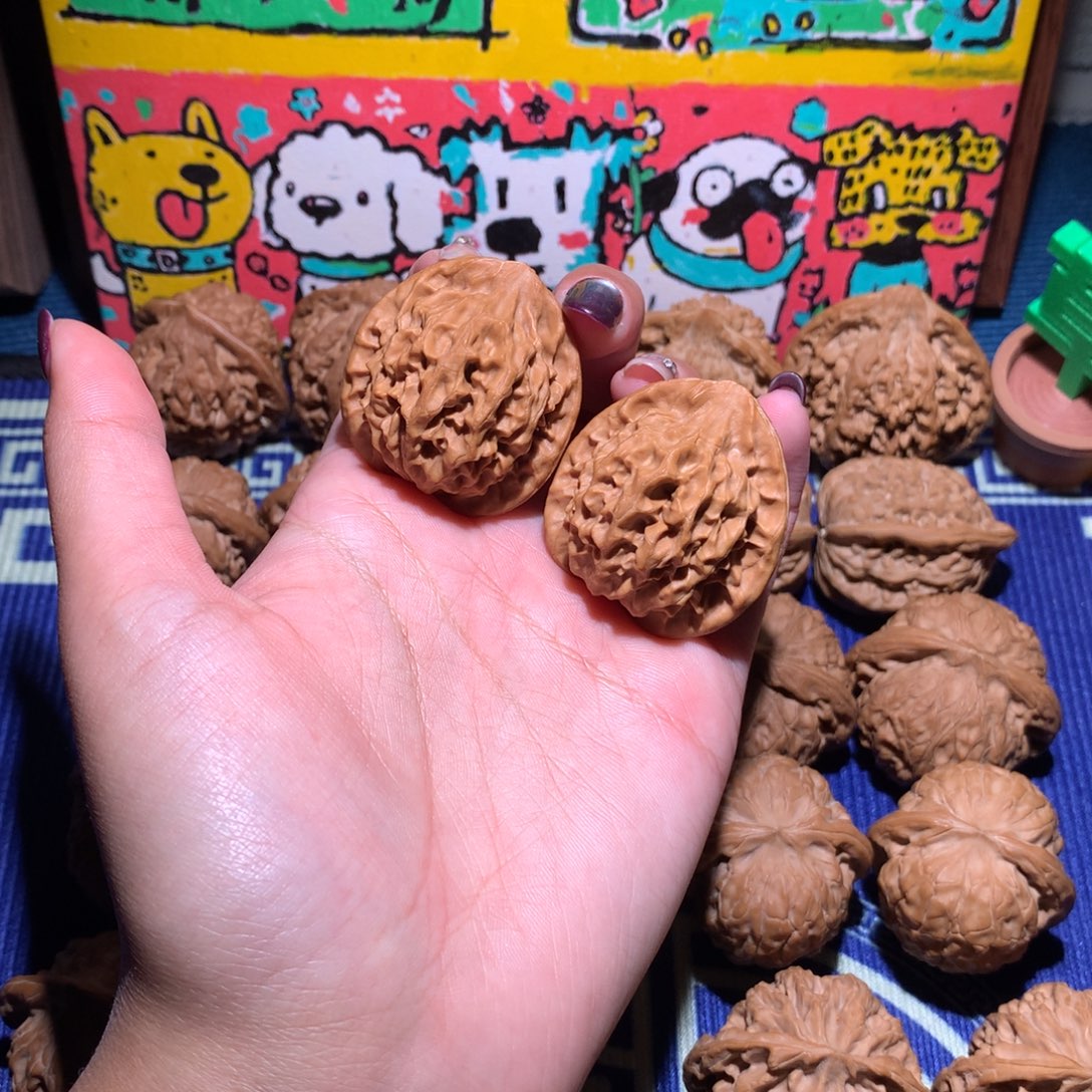 36秦公子113 11111