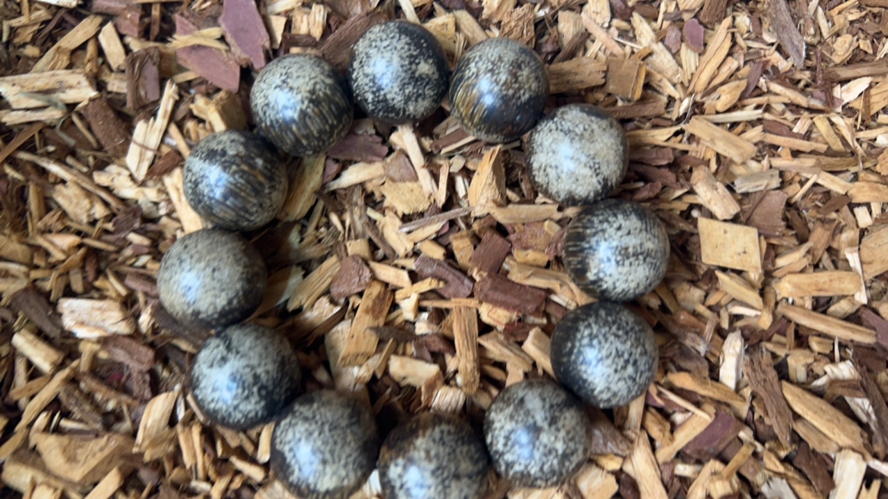 沉香z156 福来精选高端文玩