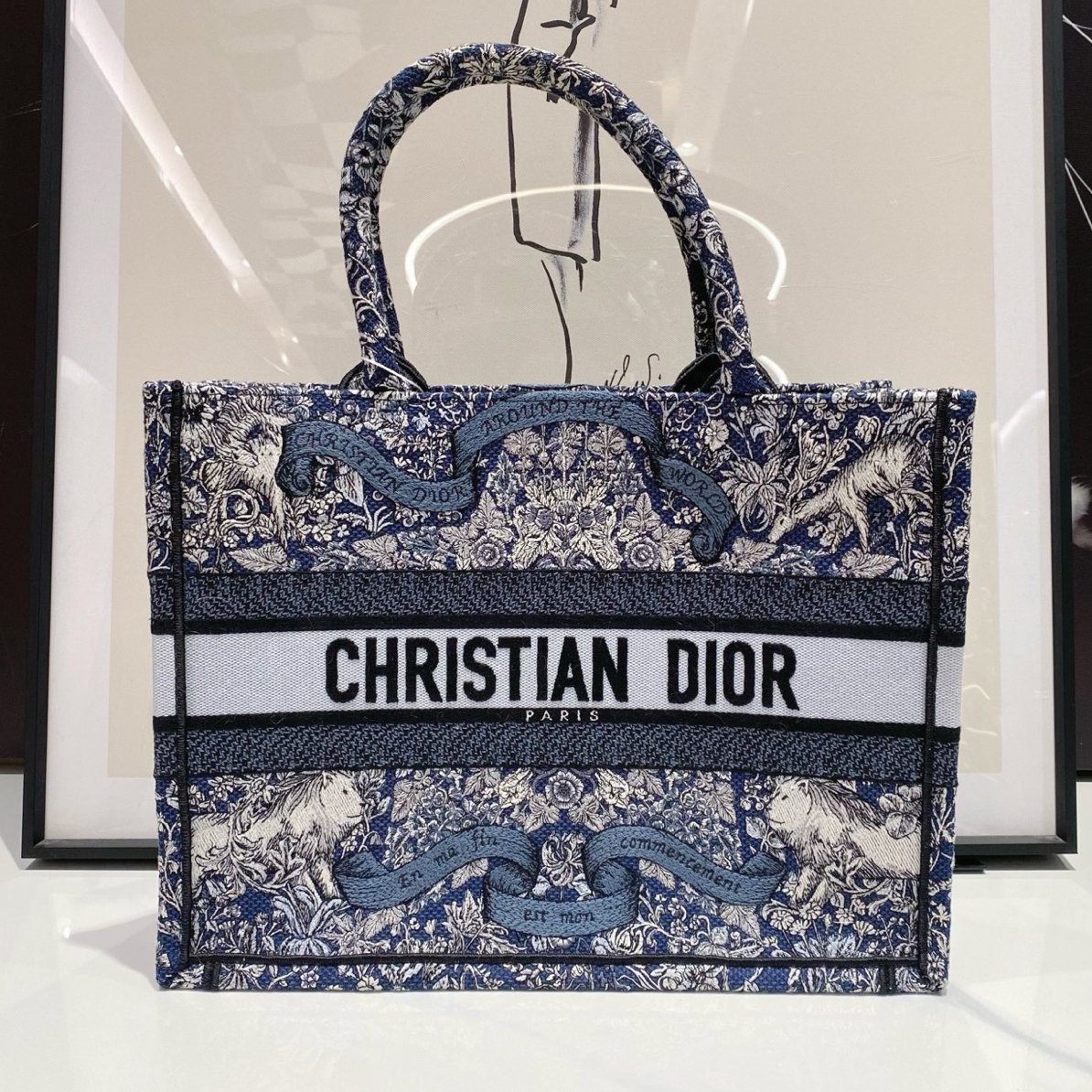 99新 DIOR/迪奥 Dior 圣诞节限定托特包（13820）