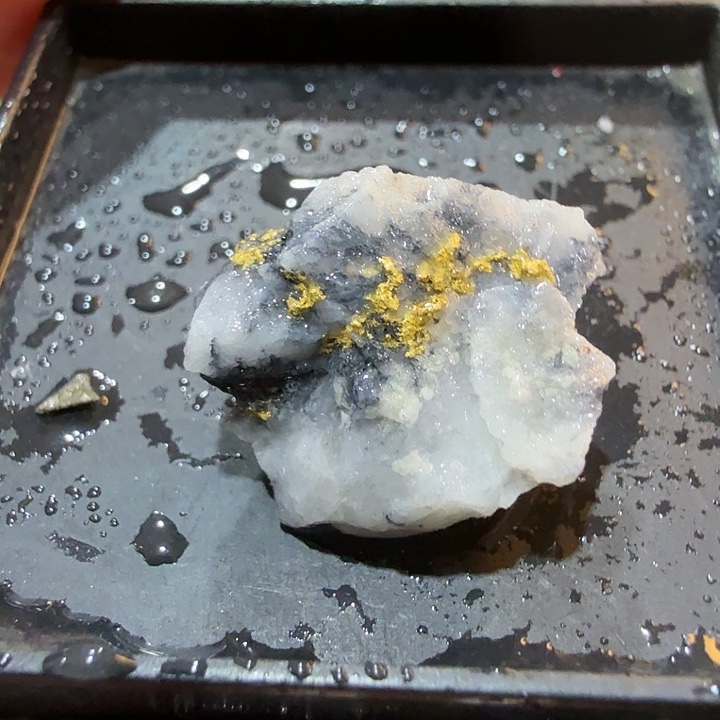 用户2.4g聚金阁天然明金矿标