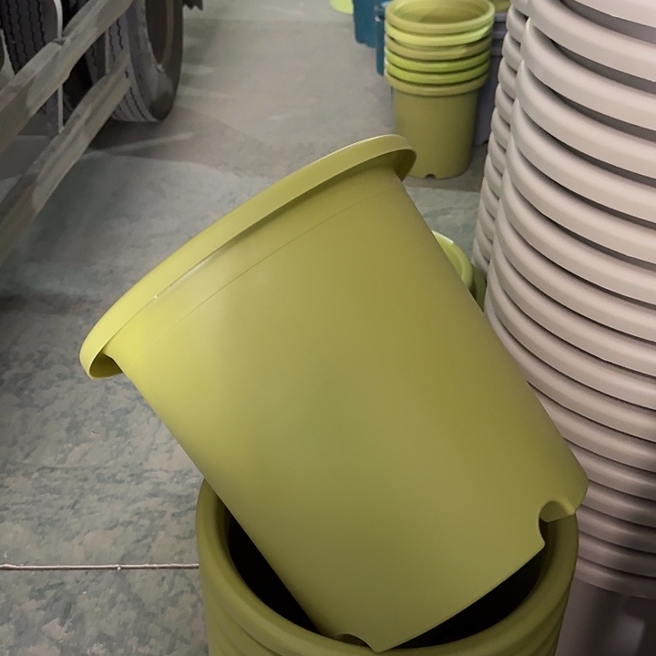 四季8#口径40无托果绿5个