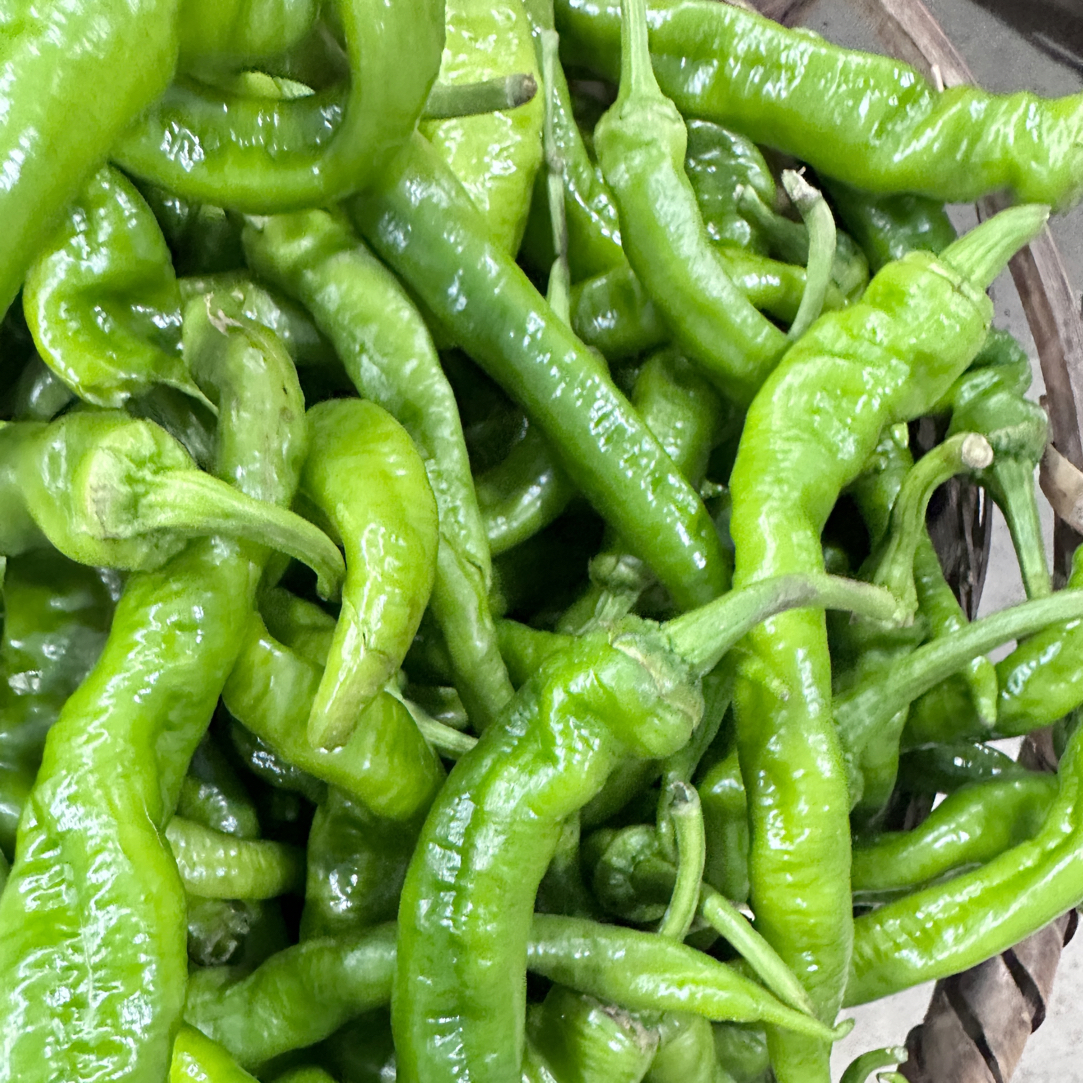 青辣椒新鲜现摘青椒农家自种香辣辣椒湖南特产
