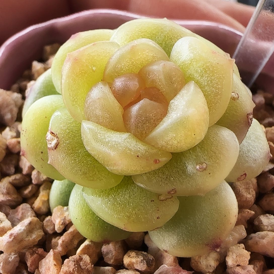 809号哈哈哈哈哈哈
