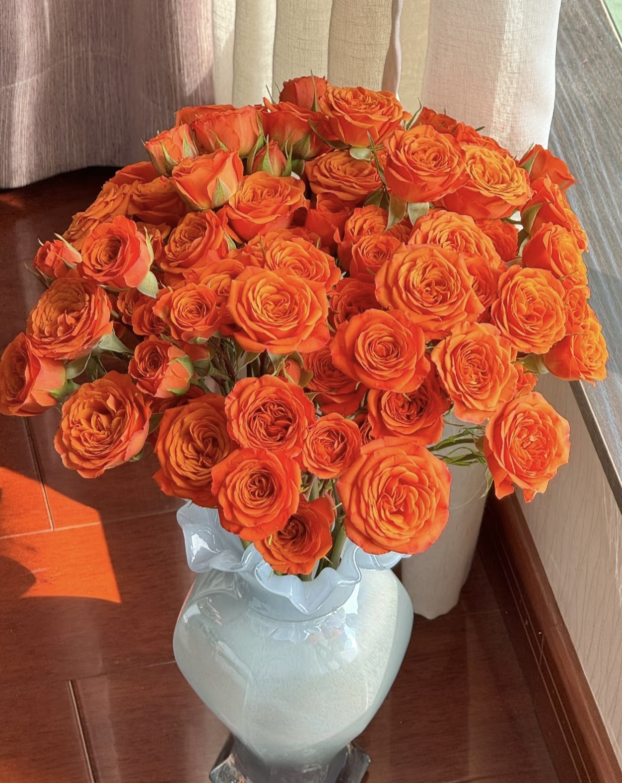 【橙色芭比多头玫瑰10支】任意2单鲜花升级顺丰冷链/德邦空运包邮