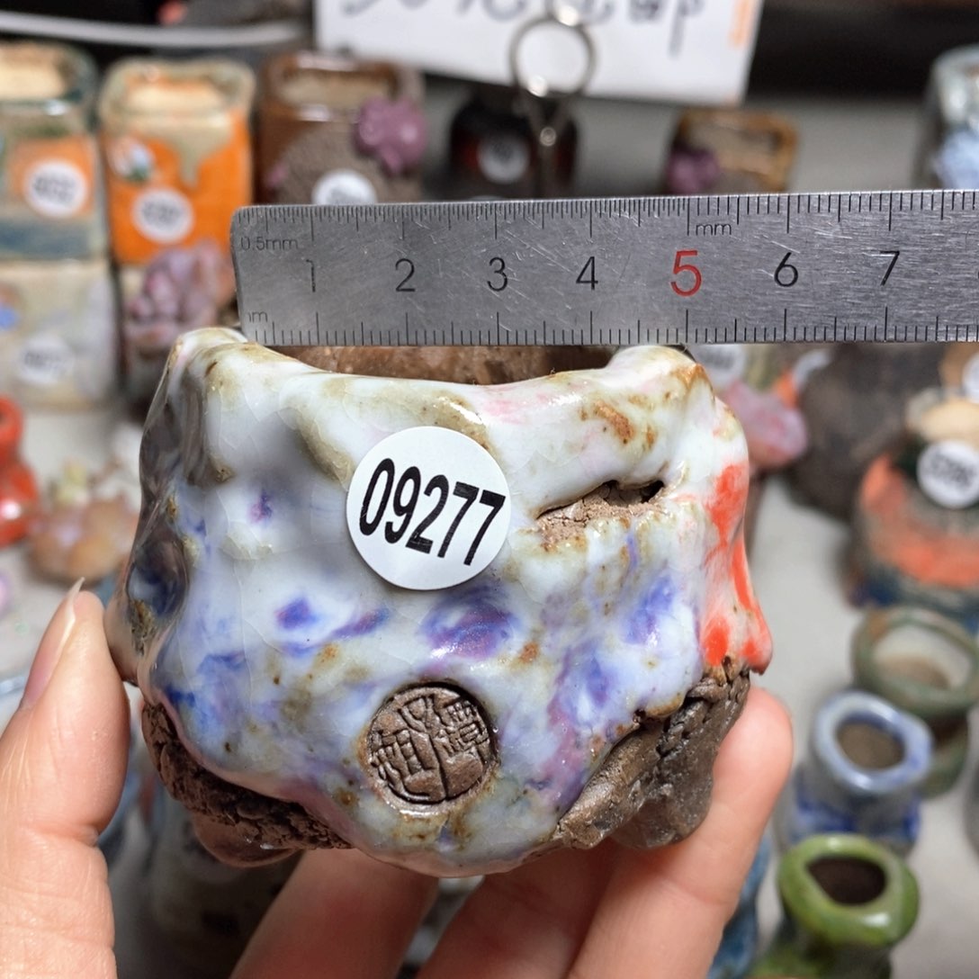 多肉花盆特价不退不换原价32