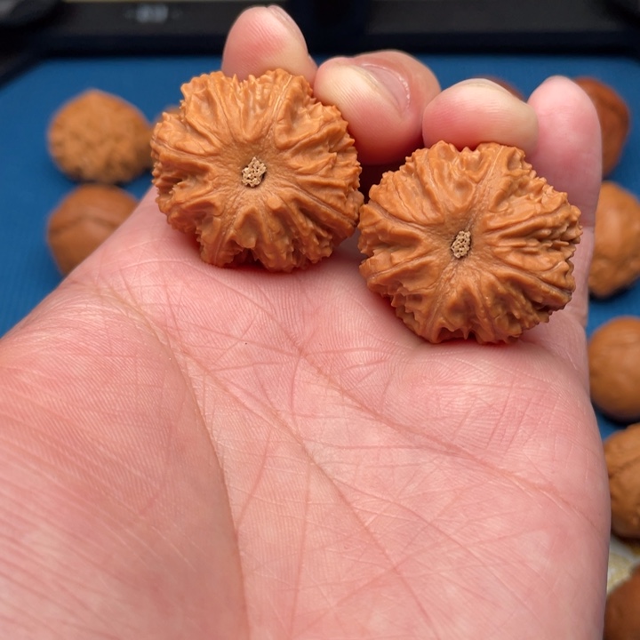 文玩核桃把件小狮子